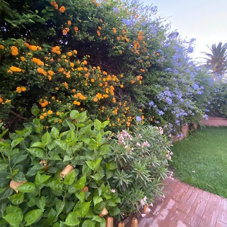 Apartamento Jardin Sanlucar Sanlúcar de Barrameda Buitenkant foto